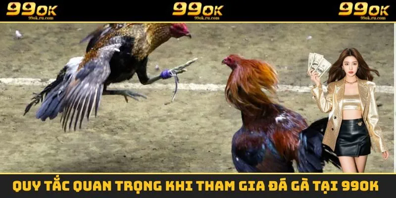 Những quy tắc quan trọng cần nắm vững khi thi đấu đá gà